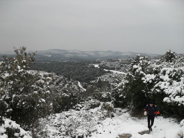 SDC10533 [640x480].JPG